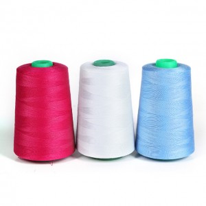 Fil à coudre ODM en gros pour chaussettes Chine Fabricant Texturisé Nylon Nylon Monofilament Fil 100% Nylon Ours Marque 100g-500g