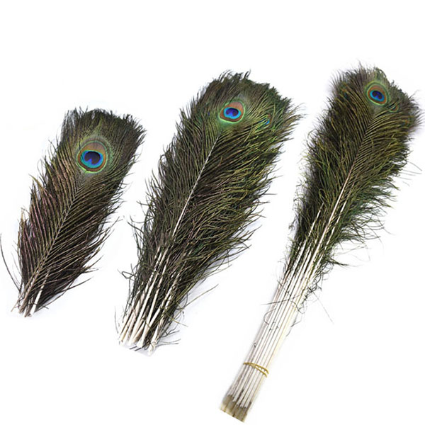 Wholesale Hot-Selling Gorgeous Natuerlike Peacock Feather foar dekoraasjes