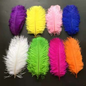 Kleurige Ostrich Feather Trims foar rok / jurk / kostuum lint Feather Trimmen DIY Party Craft