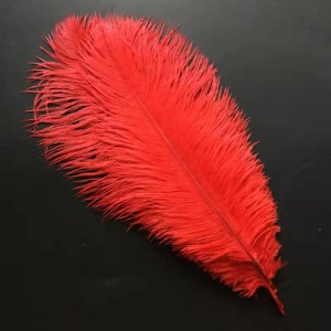 Hiasan Bulu Burung Unta Warna-warni untuk Rok/Gaun/Kostum Pita Bulu Pemangkasan DIY Kerajinan Pesta