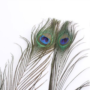 Pena de pavão natural linda por atacado para decoração