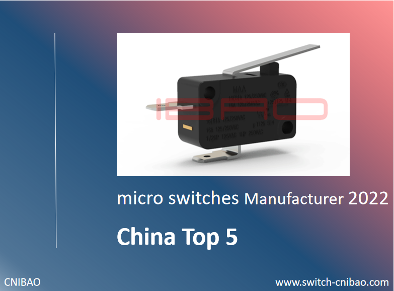 China Top 5 micro switch Manufacturer 2022