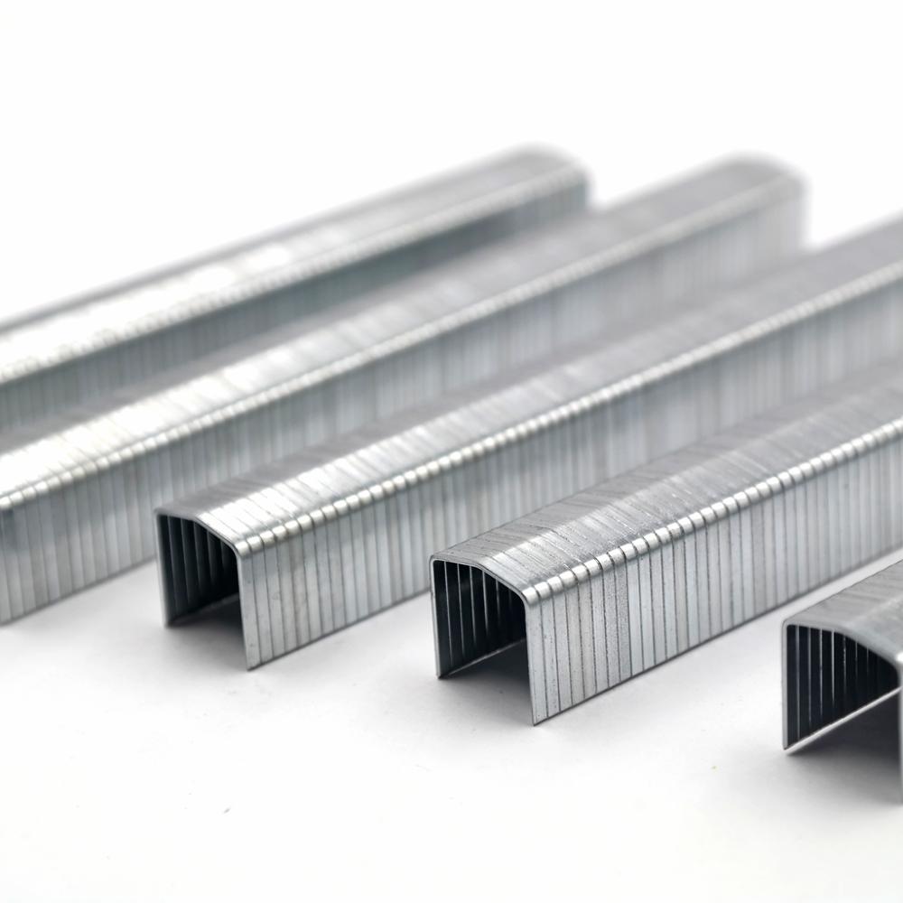 Zinc coated staples STCR5019 in different size
