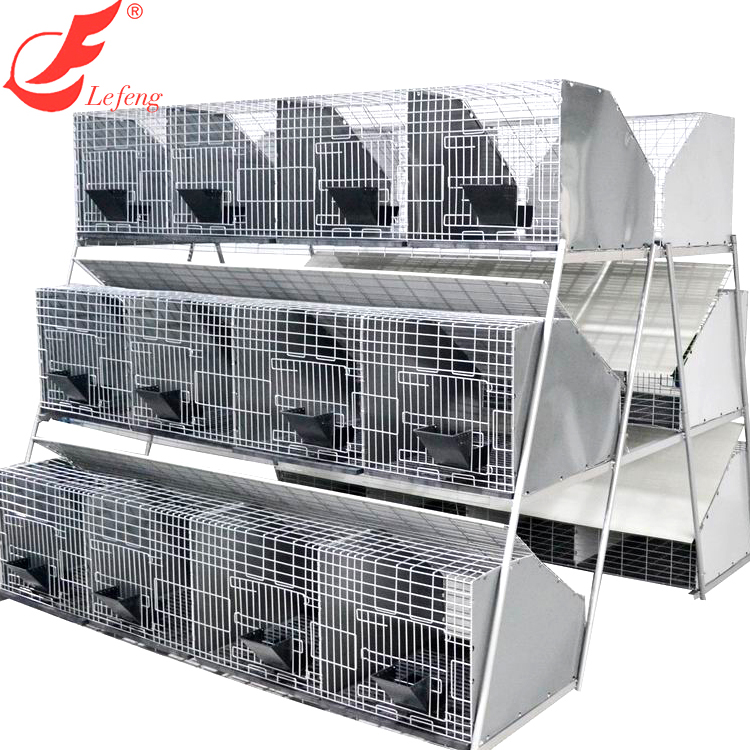 Ladder type 24 position rabbit cage