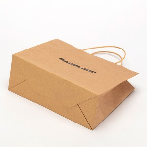 Color Brown Paper Bag With Handle