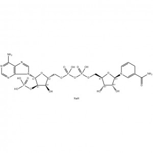β- Salann Tetrasodium Fosfáite Nicotinamide Adenine Dinucleotide (foirm laghdaithe) (NADPH)