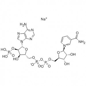 β-нікацінамідадэніндынуклеатыдфасфат, акісленая форма, аднанатрыевая соль (рэагент II класа) (NADP ▪ＮＡ)