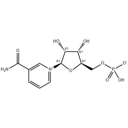 β-nikotīnamīda mononukleotīda (NMN) piedāvātais attēls