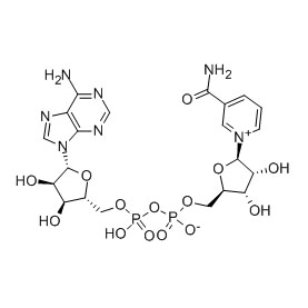 β-нікацінамідадэніндынуклеатыд (свабодная кіслата) (NAD)