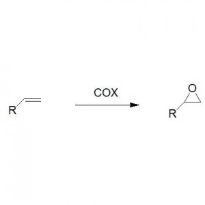 Siklooksigenase (COX)