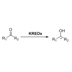 Kétoréductase (KRED)