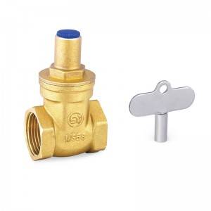 globe valve සහ gate valve එකට භාවිතා කළ හැකිද?