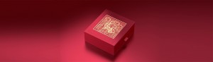 Chantecaille-Neujahrs-Verpackungsbox