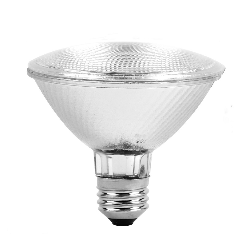 Classic Full Glass Dimmable PAR30 LED Flood Light Bulbs Featured Image