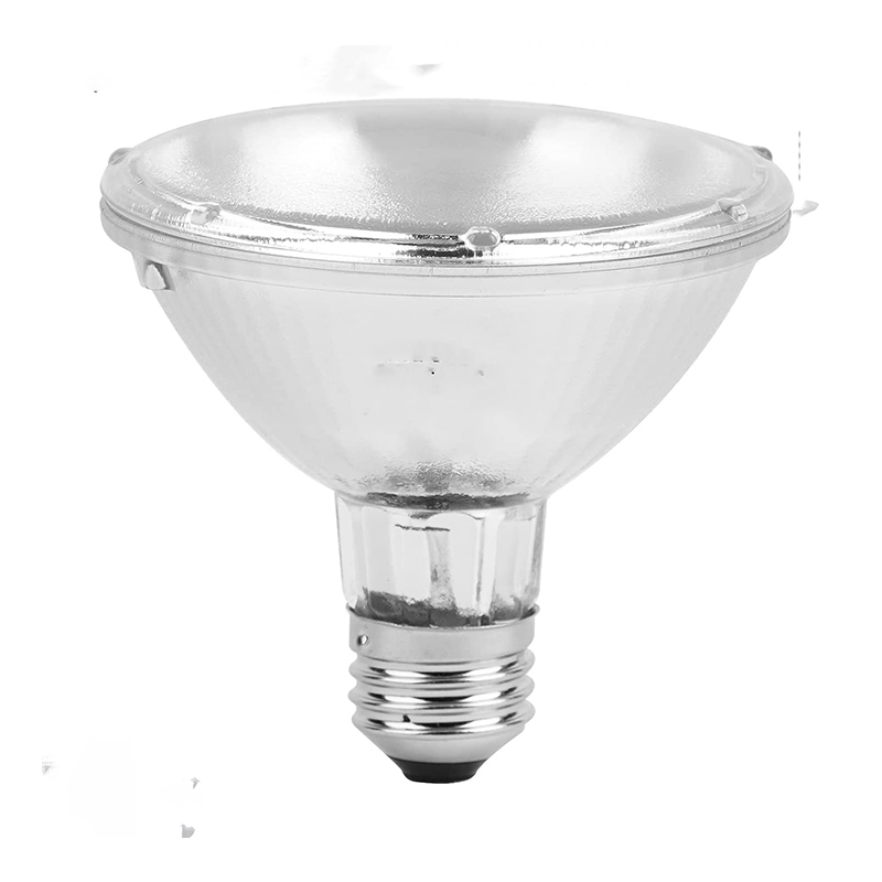 Halogen Dimmable PAR30 Spot Light Bulb Featured Image