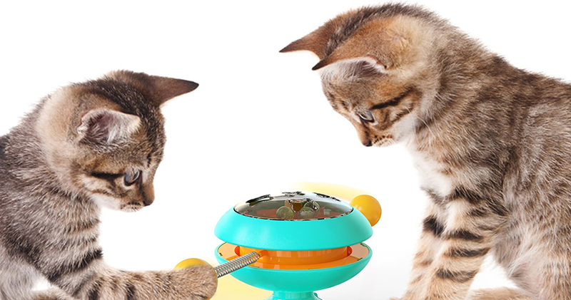 Tương Tác-Mèo-Đuổi-Toy-42