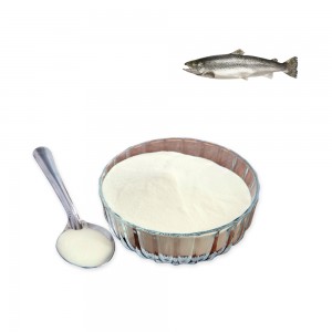 Poudre de peptide de poisson marin crue pour aliments et boissons