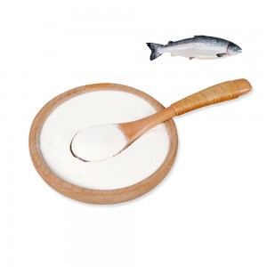 Salmon piscis collagen peptide pulveris