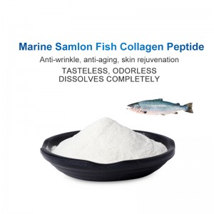 Bubuk péptida kolagén lauk salmon