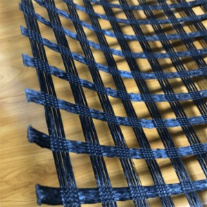 Drainage Application Cushion Warp Knitted Polyester Geogrid