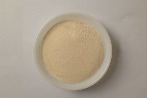 Ksantan gumi (XC polimer)