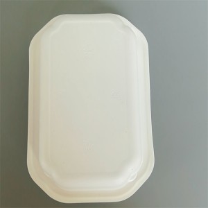 Topklasse Beste kwaliteit !!Hot Sale Nij ûntwerp Competitive Priis autoclavable plastic tray TY-006