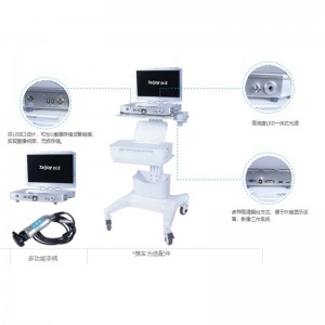 Máquina integrada con sistema de cámara endoscopio HD portátil TJ-268C