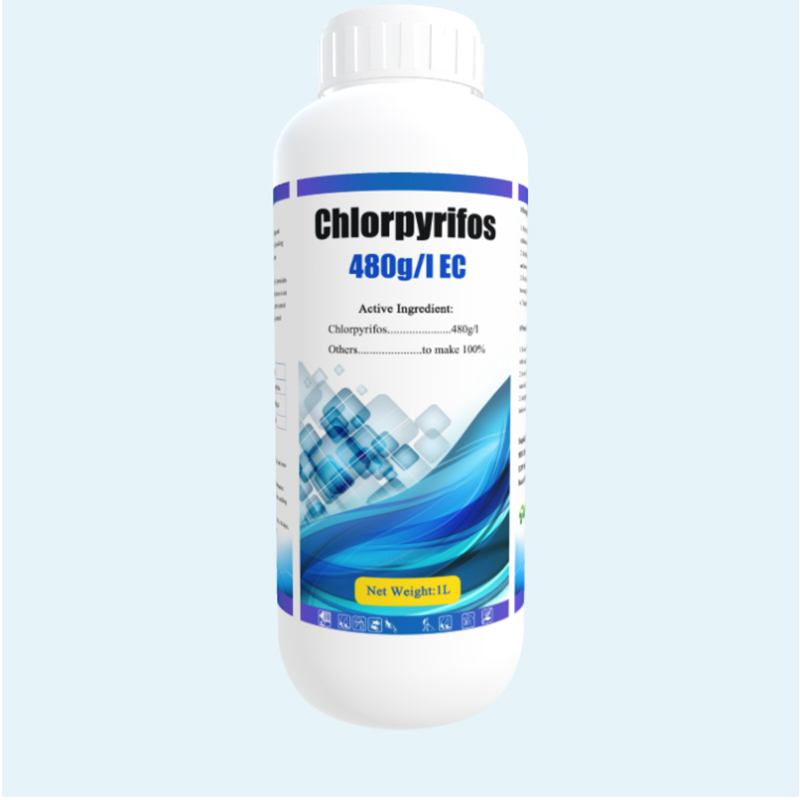 Fabrika fiyatı ile yüksek etki Pestisit Chlorpyrifos 480g/L EC, 500g/L EC