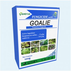 China Manufacturer for Diflubenzuron 25% Wp - Good quality agrochemical Fungicide Streptomycin sulfate 72%SP with wholesale price – Tangyun
