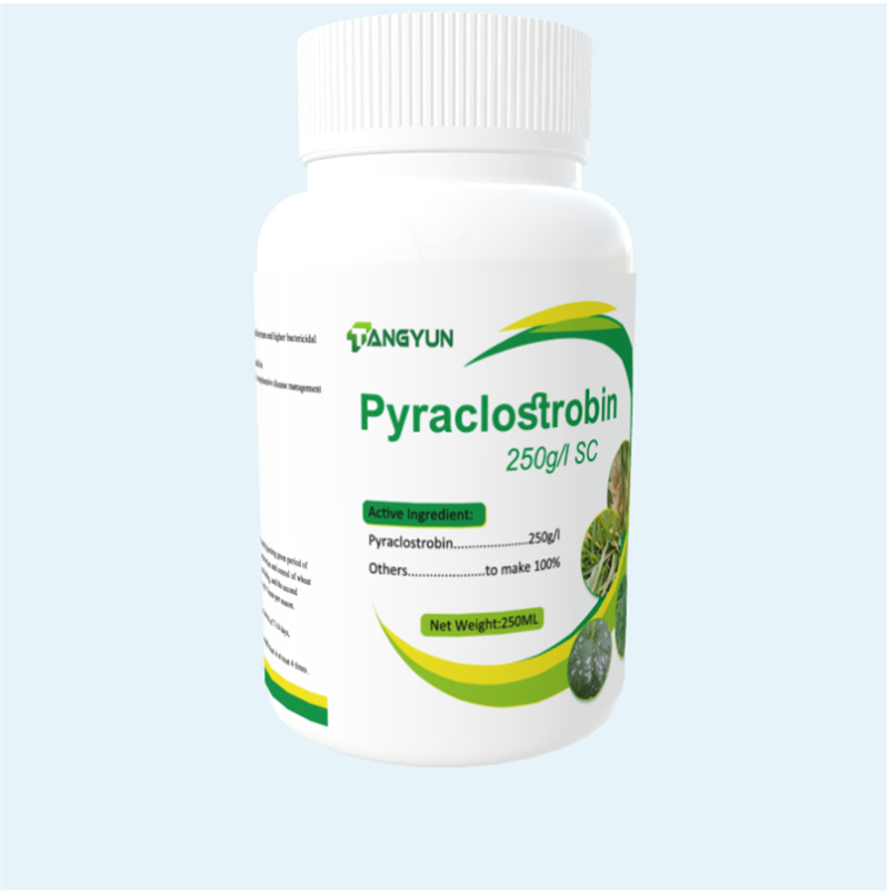 Fongicide le plus efficace avec prix d'usine Pyraclostrobin 30% EC 80% WDG grossiste