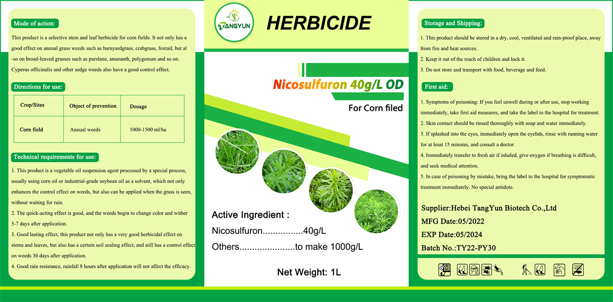 Herbicide Nicosulfuron 40g/l OD pour le contrôle des mauvaises herbes