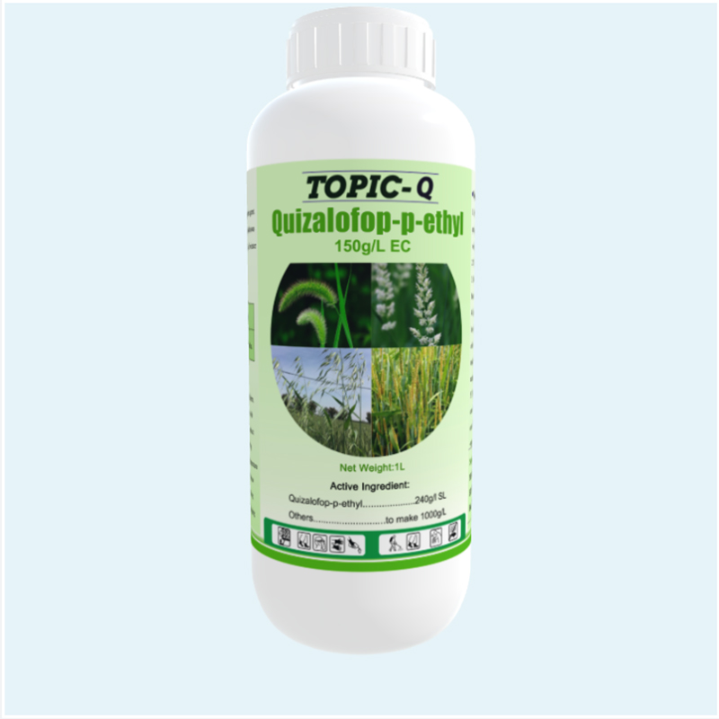 Hot Sale herbizida sistemikoa Quizalofop-p-ethyl 10% EC