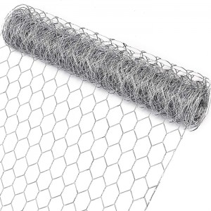 Galvanized maliit na hexagonal net roll chicken wire mesh