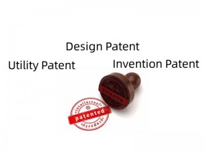 Txinako patenteen eskaera betetzeko agentea