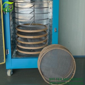 Likarolo tse 10 tsa 50cm Terei e Nyenyane ea Tea Dryer Machine ZC-6CHZ-2