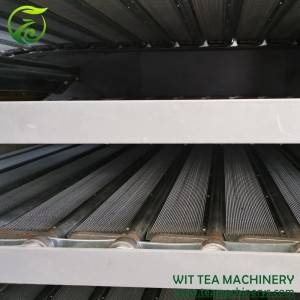 Gas Heating Chain Plate Black Tea Leaf Drying Machine ZC-6CHL-RQ10