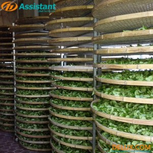 Support de flétrissement de feuilles de thé fraîches en bambou TQJ-20
