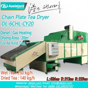 Máquina secadora de follas de té continua tipo cinta de placa de cadea 6CHL-CY