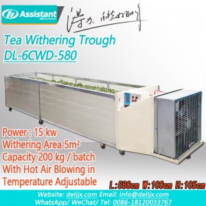 Máquina de marchitamento do proceso de marchito de follas de té frescas 6CWD-580