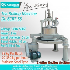 रूढ़िवादी हरी चाय रोलिंग मशीन 6CRT-55 . छोड़ देता है