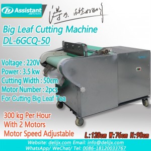 Fresh Big Tea Leaf Lotus Leaf Tea Cutting Machine 6GCQ-50