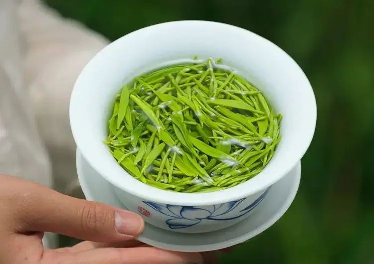 Characteristics Of Dried Green Tea