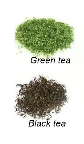Razlika između crnog i zelenog čaja – Metode obrade