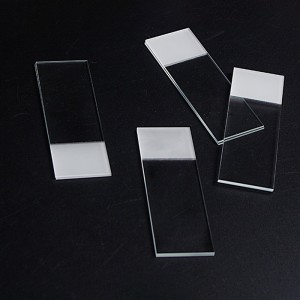 Materiale di consumo da laboratorio all'ingrosso Vetrino per microscopio in vetro con copertura in vetro trasparente