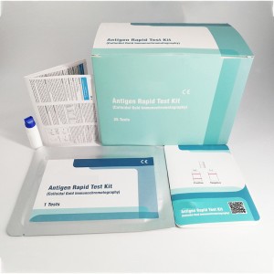 CE Antigeen Vinnige toets Casstte kit vir Covid-19 aansteeklike siekte diagnostiese kit