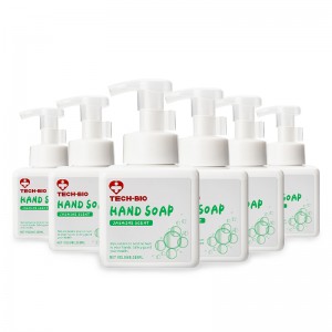 Hand Wash Soap Mousse Sanitizer Alcohol Free supplier