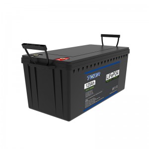 Rechargeable LiFePO4 Lithium Ion Phosphate Deep cycle Battery