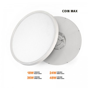 Coin Max Slim H25 Arwyneb