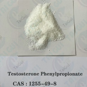 Injectable Muscle Building Testosterone Phenylpropionate TPP Steroid Powder CAS 1255-49-8