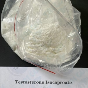 Fat Burning Testosterone Enanthate CAS 315-37-7 Testosterone steroid for Weight Loss